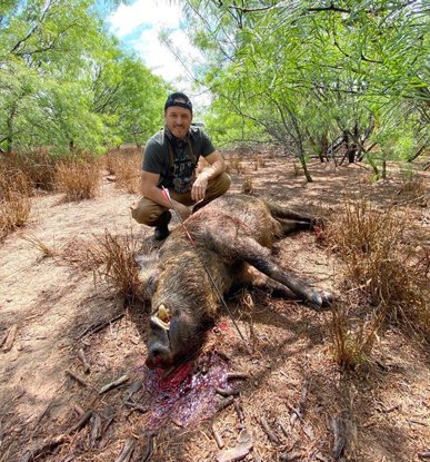Wild Hog Hunts